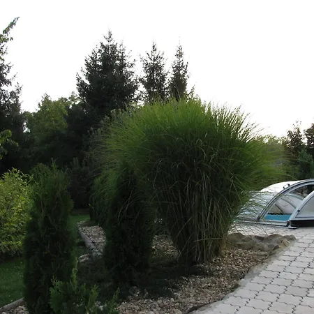 Helena A Helena 펜션 Střílky